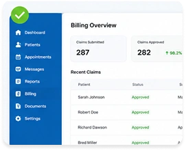 Pre-submission claim scrubbing